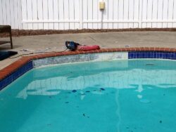 A neglected swimming pool with debris and a lifebuoy on the edge.