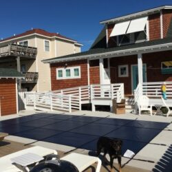 A dog on a pool cover in front of residential buildings with clear blue skies.