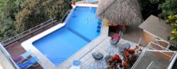 An aerial view of a resort-style outdoor swimming pool with a thatched-roof cabana and poolside seating.