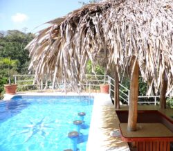 Outdoor swimming pool with a thatched umbrella on a sunny day.